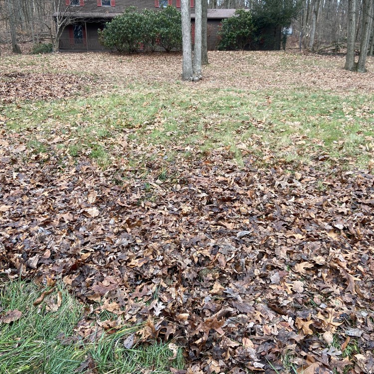 Landscaping and Lawncare in Downington, PA Landscaping and Lawncare in Downington, PA