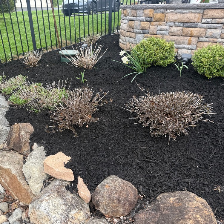 Landscaping and Lawncare in Downington, PA