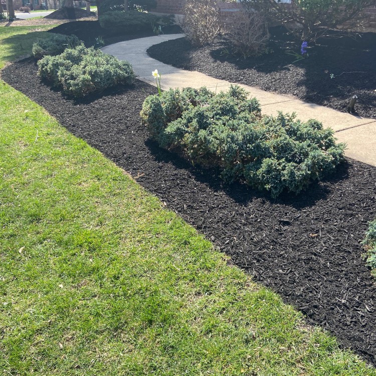Landscaping and Lawncare in Downington, PA Landscaping and Lawncare in Downington, PA