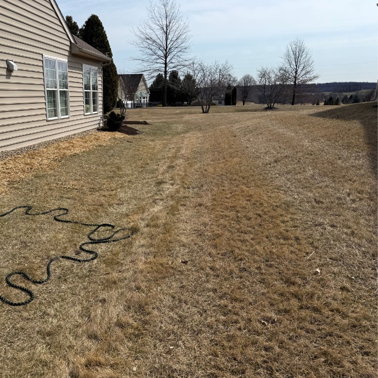Landscaping and Lawncare in Downington, PA Landscaping and Lawncare in Downington, PA