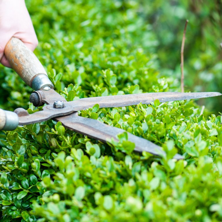 Landscaping and Lawncare in Downington, PA Landscaping and Lawncare in Downington, PA